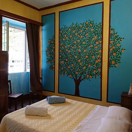 Apartmán Avo Da Rosa 2 Faial da Terra Exteriér fotografie